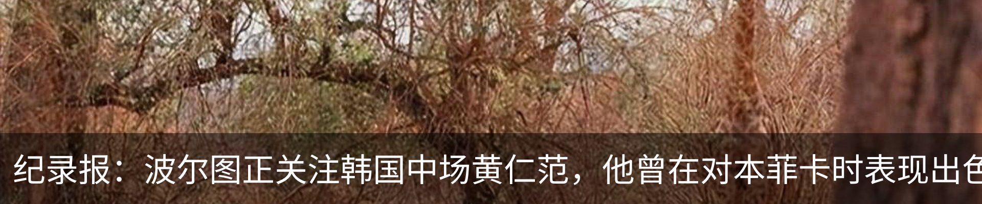 热点资讯